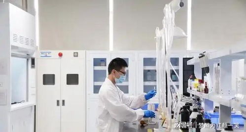 骏亚科技旗下工厂 教育科技的创新引擎与实训基地